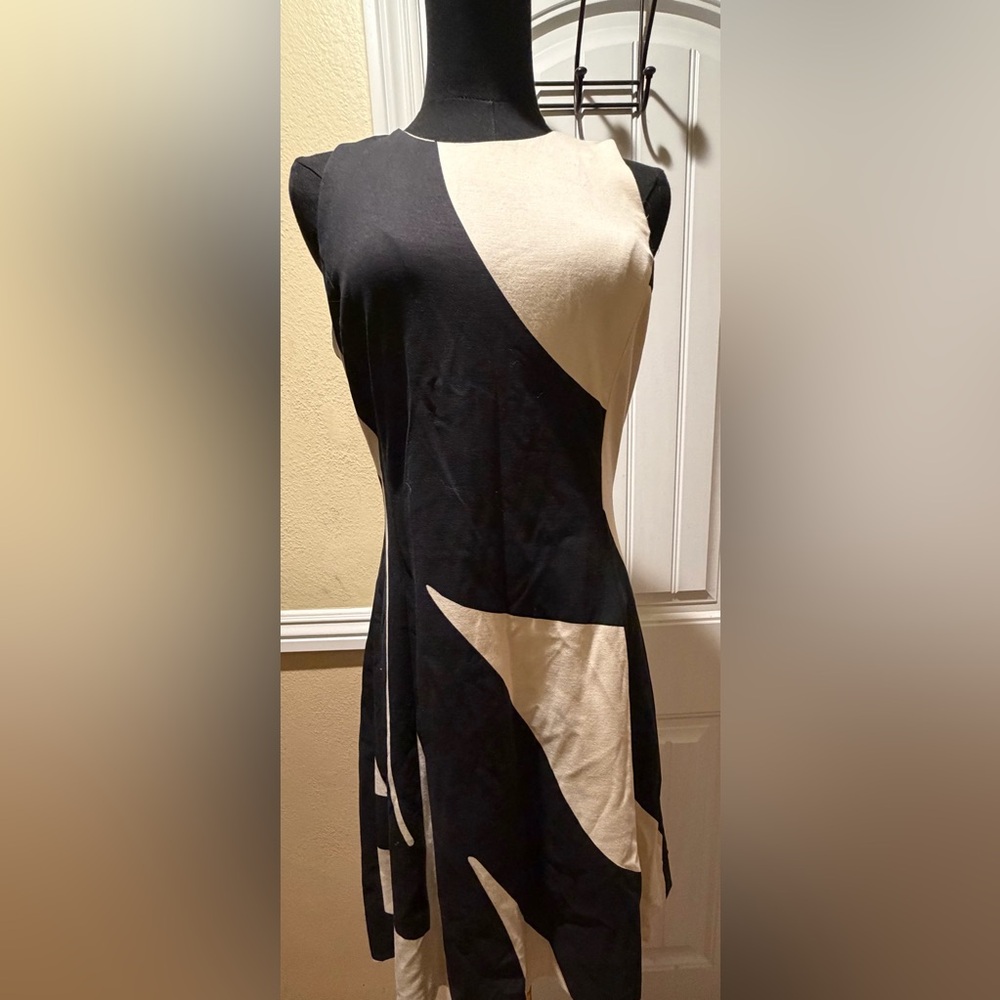 Banana Republic Black and Cream Dress